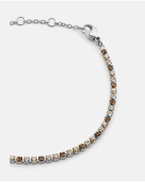 Daniel Wellington - Classic Tennis Bracelet Honey Combo