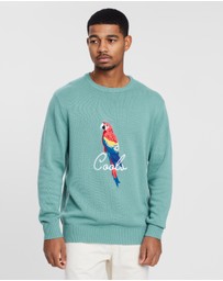 B.Cools - Parrot Crew Knit Jumper