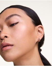 Daniel Wellington - 3-Link Earrings