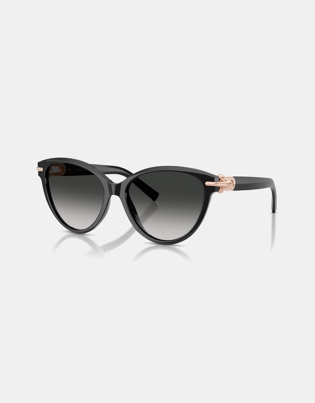Tiffany & Co. - 0TF4261