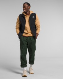 The North Face - Apex Bionic 3 Vest