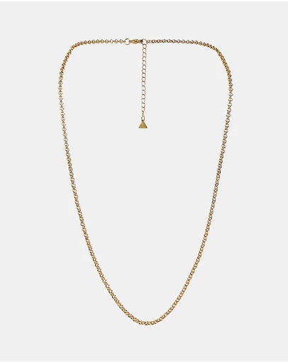 ALDO - Demian Necklace