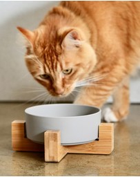 Mog & Bone - Single Bamboo Cat Bowl Mocha
