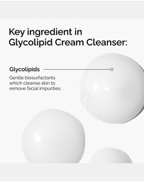 The Ordinary - Glycolipid Cream Cleanser