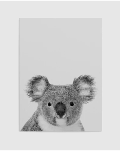Olive et Oriel - Koala