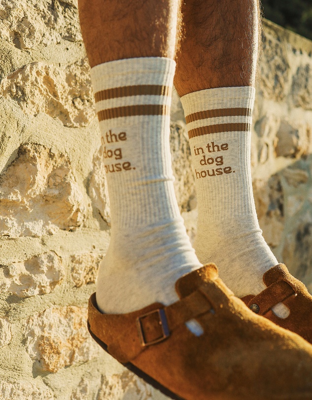 Skwosh - Dog House Socks in Brown Stripe