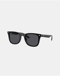 Ray-Ban - 0RB4420