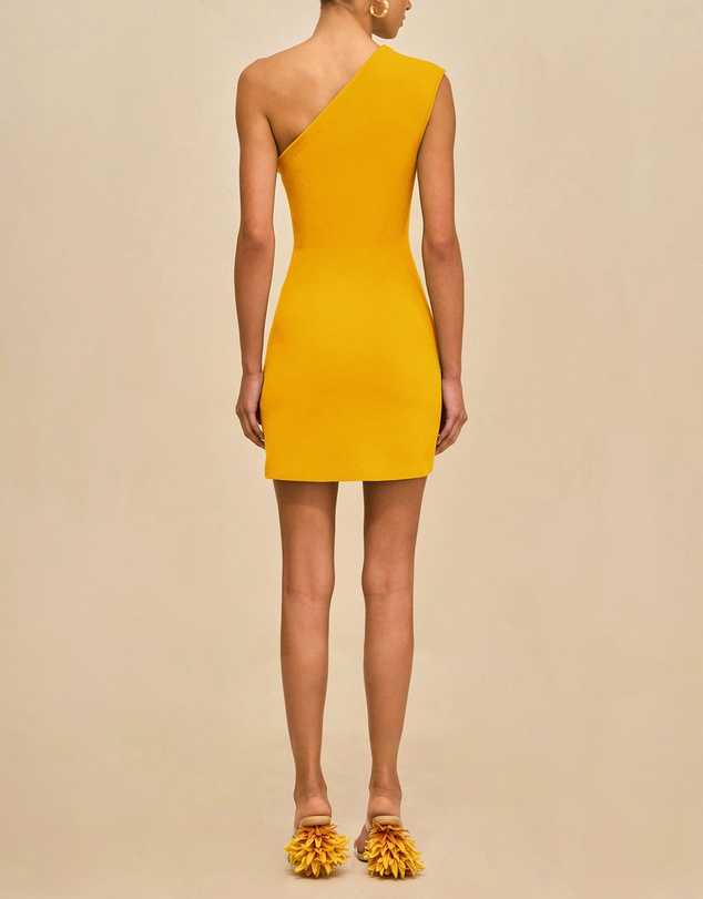 Cult Gaia - Labella Dress