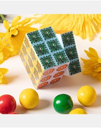 Journey Of Something - Art Cube - Flower Pop
