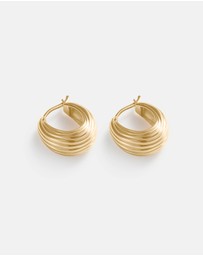 Kirstin Ash - Mondo Hoops