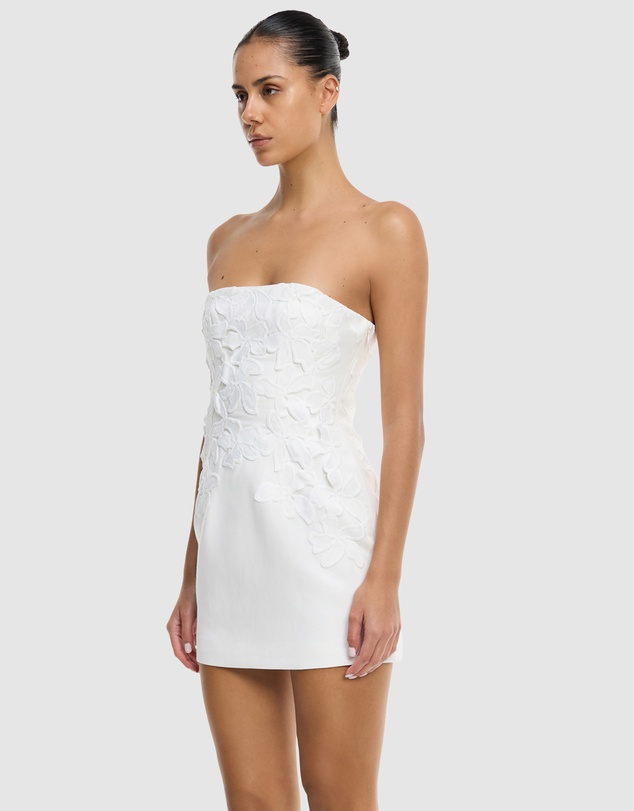 Significant Other - Idette Mini Dress