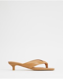 Sol Sana - Sir Heels