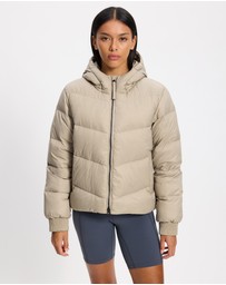 Patagonia - Sindit Hoody Jacket