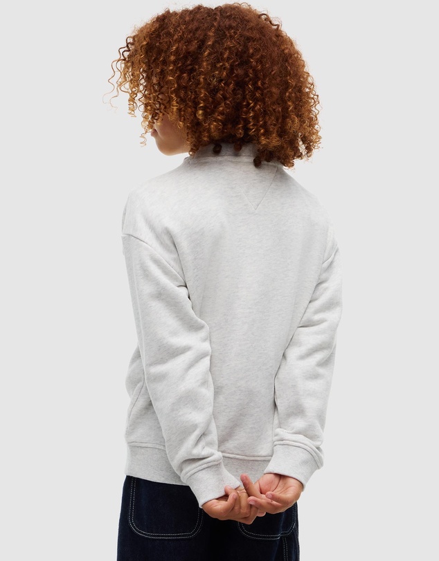 Tommy Hilfiger - Kids Unisex 8-16 Heritage Flag Crewneck Sweater - Teens