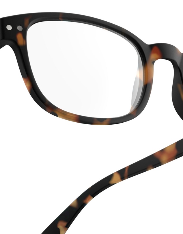 IZIPIZI - Reading Collection B Tortoise