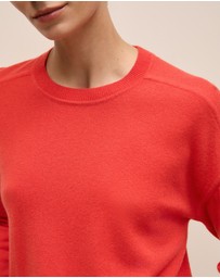 Trenery - Merino Cashmere Forward Shoulder Seam Crew in Spice Red