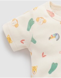 Purebaby - 2 Pack Short Sleeve Ribbed Bodysuit -Babies