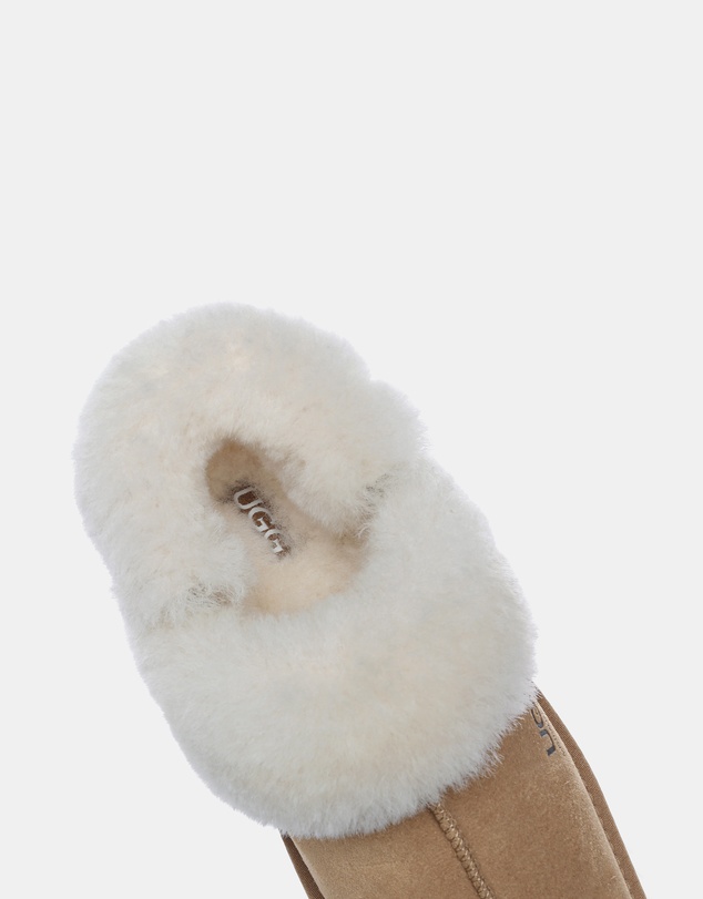 EVERAU - Australian Shepherd Ugg Musa Platform Cow Suede Upper House Shoes