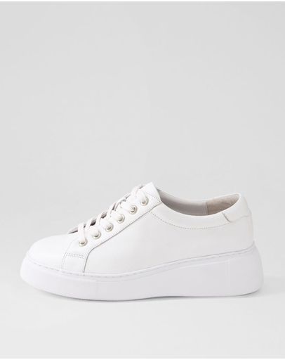WHITE-WHITE SOLE