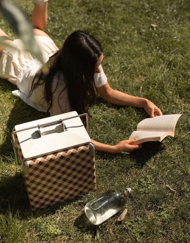Napoleon Goods - Mini Cooler