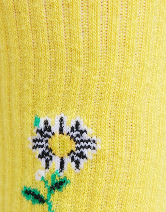 Crate - Daisy Socks Bundle - Unisex