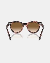 Ray-Ban - Wayfarer Way