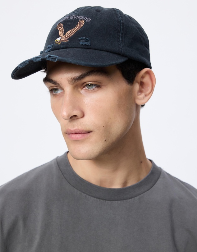 Thrills - Seen and Heard Six Panel Cap - ICONIC EXCLUSIVE