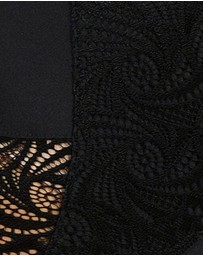 Sans Complexe - Ariane Lace & Microfiber High Waist Brief