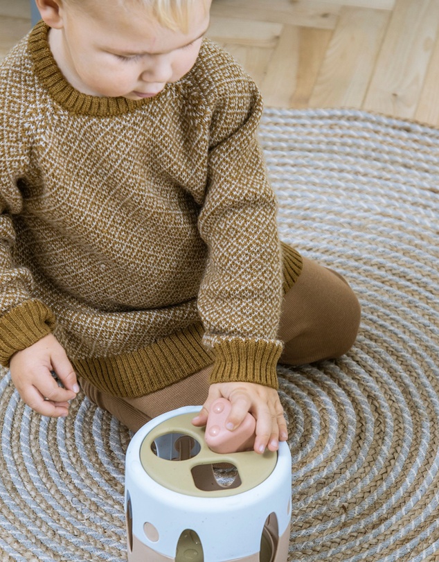 Dantoy - Dantoy - Tiny - BIOplastic - Shape Sorter
