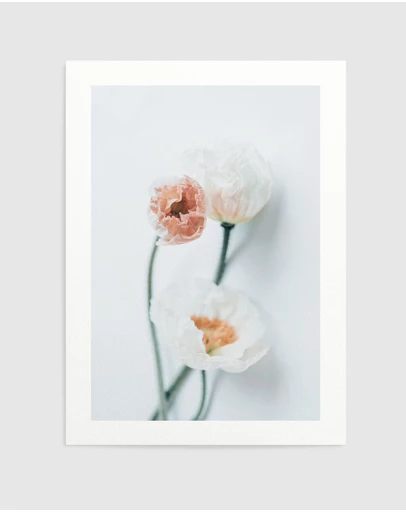 Olive et Oriel - Summer Poppies I Art Print