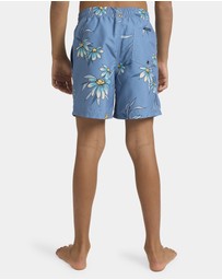 Quiksilver - Boys 8 to 16 Everyday 14