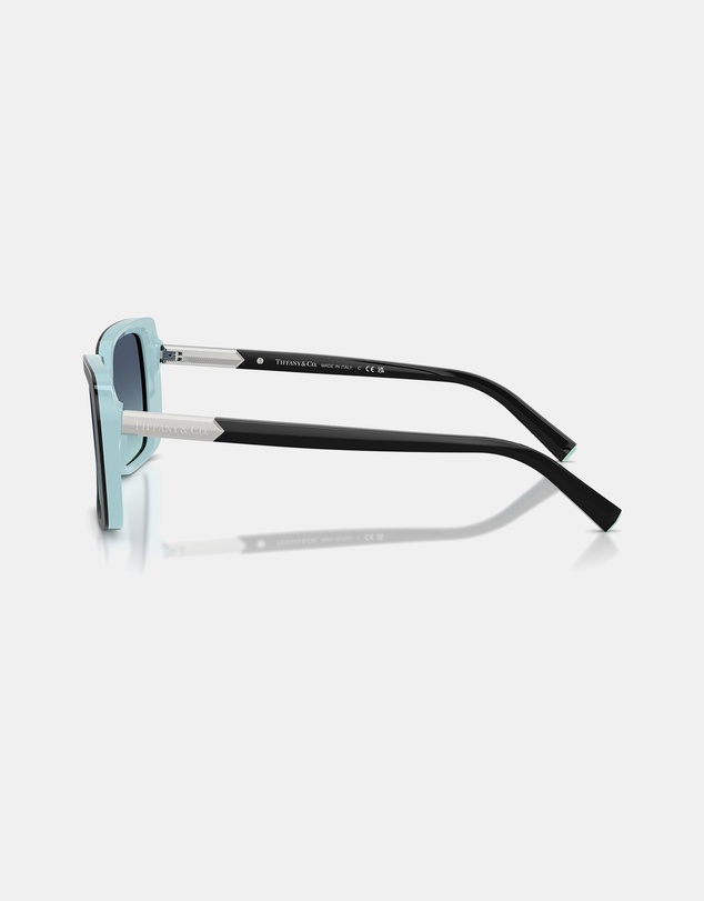 Tiffany & Co. - 0TF4249