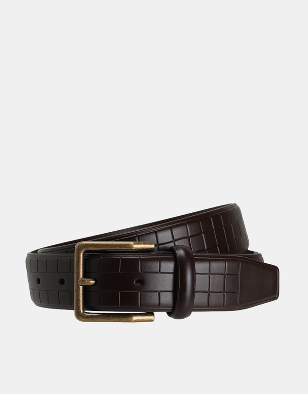 ALDO - Duardo Belt