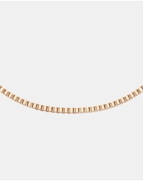 Daniel Wellington - Elan Box Chain Necklace Long