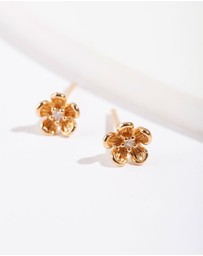 Lovisa - Gold Plated Sterling Silver Daisy Stud Earrings