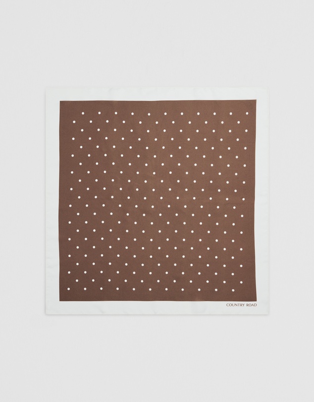 Country Road - Silk Spot Scarf