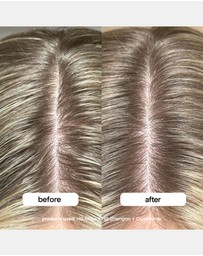 Bondi Boost - Hg Clarifying Rinse