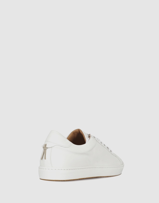 Brando - Caleb Sneakers