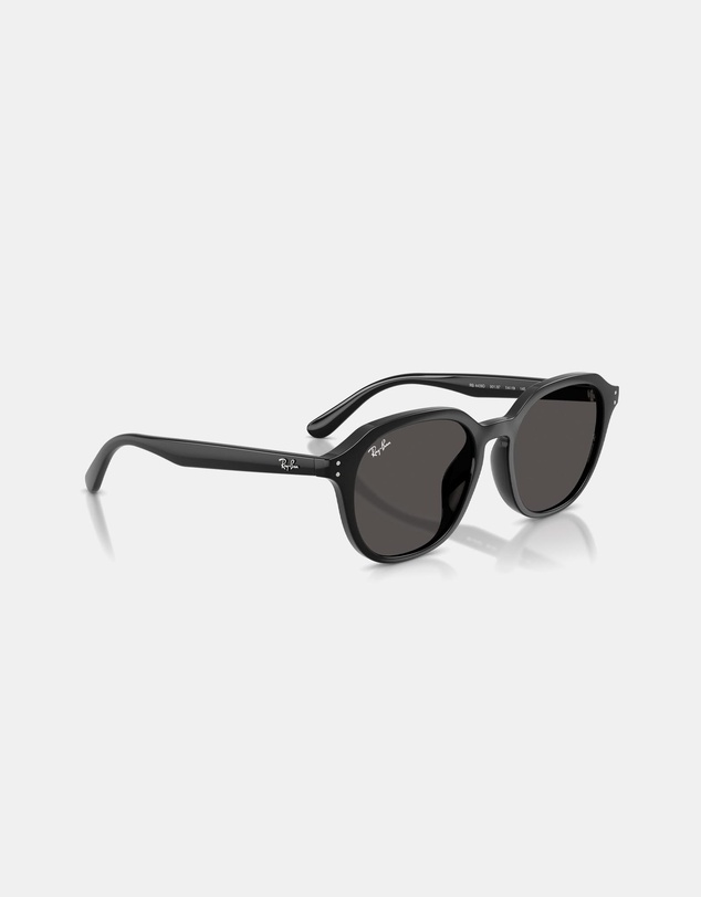 Ray-Ban - RB4459D