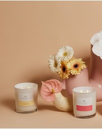 Palm Beach Collection - Coconut & Lime Scented Candle 420g