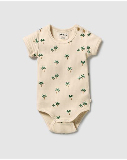 Tiny Palm