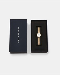 Daniel Wellington - Petite Mini 19mm Evergold