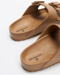 Human Premium - Ripe - Women's