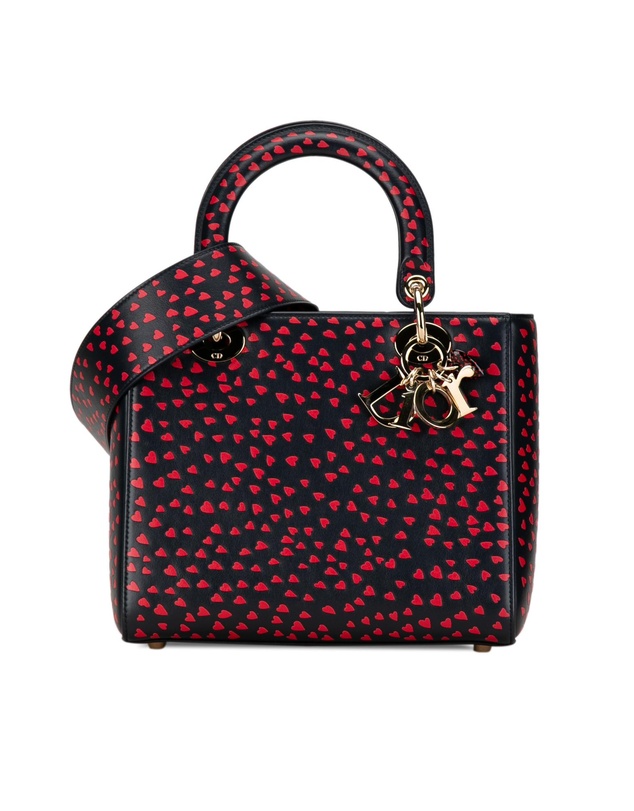 Pre-Loved by Azura Reborn - Pre-Loved dior Dior Lady Dior My ABCDior Black Leather Tote Bag