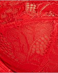 Sans Complexe - Arum Prima Underwire Unlined Scalloped Lace Bra