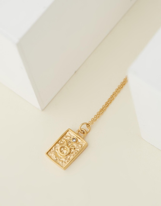 Carly Paiker - Taurus Star Sign Zodiac Tag Necklace