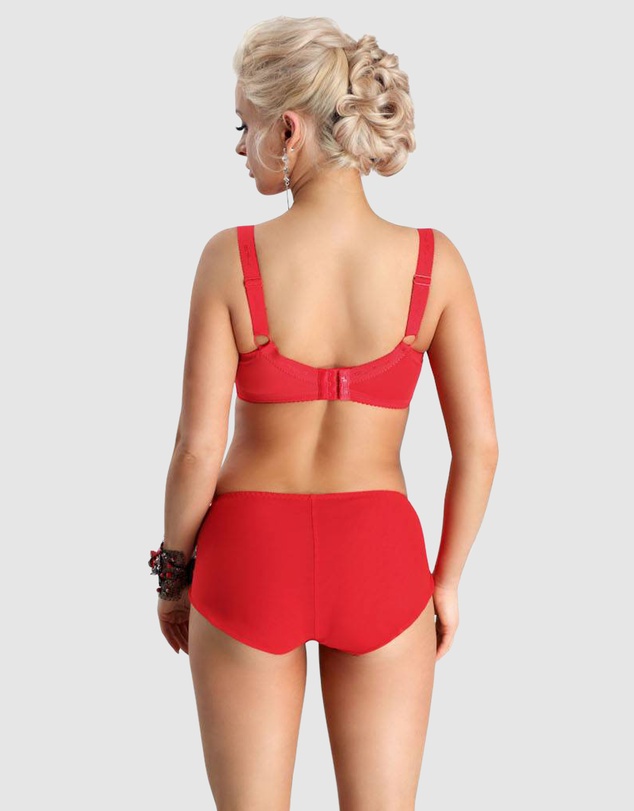 Nessa - Sonata Unlined Embroidered Large Cup Wired Bra