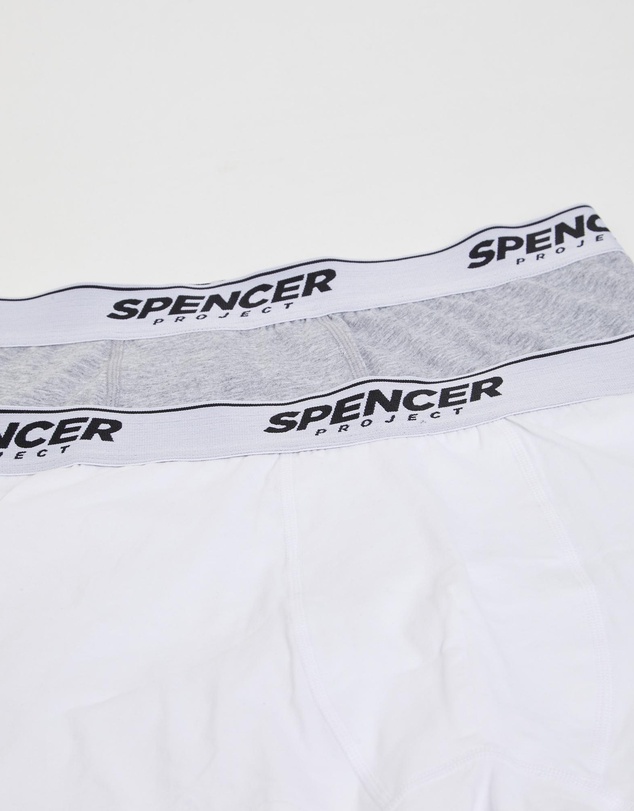Spencer Project - Spencer Briefs