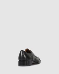 Brando - Lord Brogues And oxford