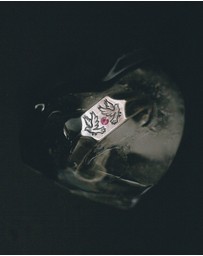 SUE THE BOY - 2 Birds 1 Stone Signet Ring